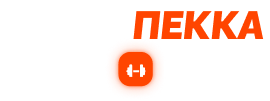Мини Пекка — Powered by BodyBase
